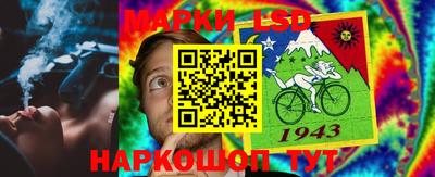 спиды Шелехов