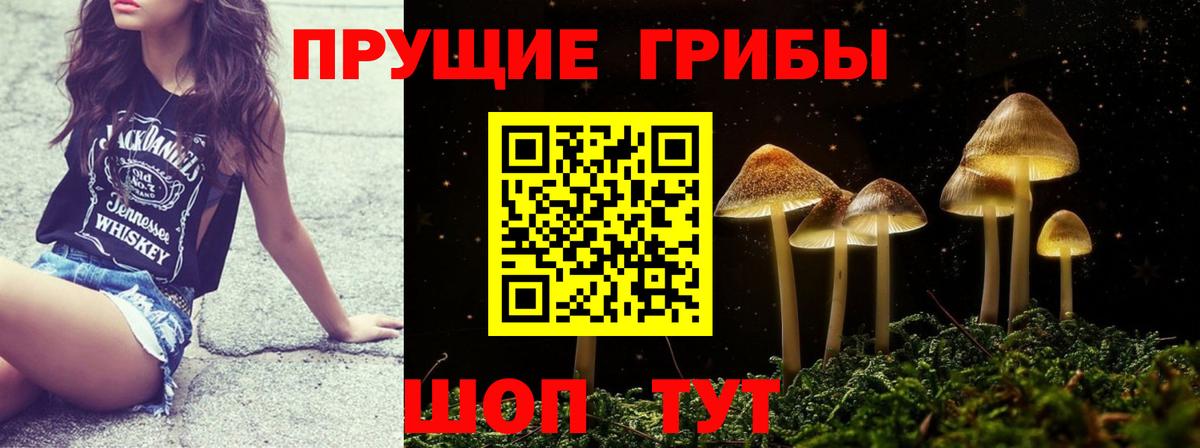 Псилоцибиновые грибы Magic Shrooms Великий Устюг