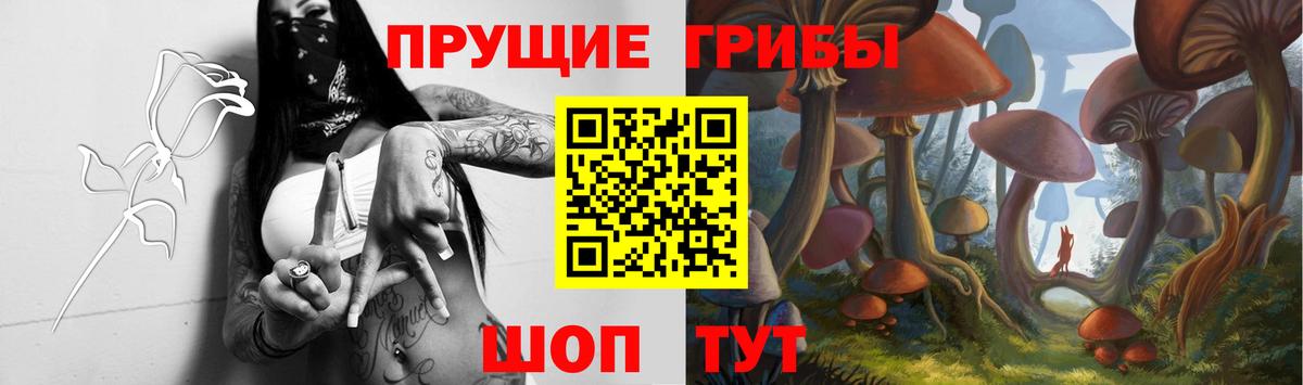 Галлюциногенные грибы Cubensis  Вход с VPN  сколько стоит  Великий Устюг 
